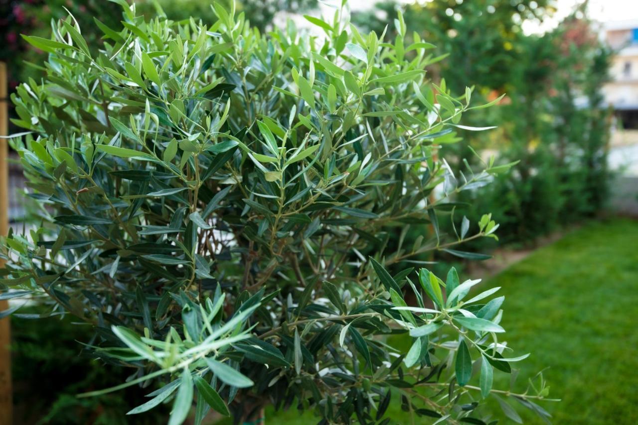 Peraía Olive 102 아파트 외부 사진